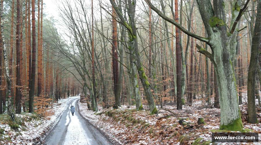 综述平博pinnacle注册登录